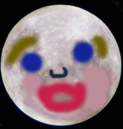 Marked up image of the moon to show the man-in-the-moon