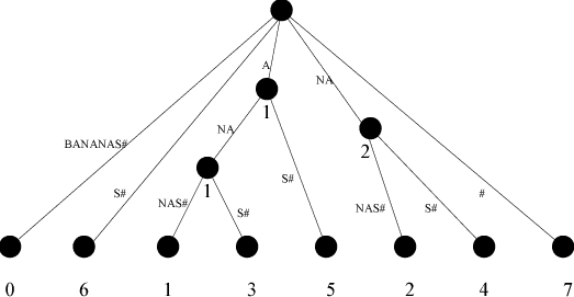 Suffix Tree of BANANAS